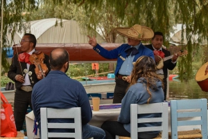 Fiesta Mexicana Xochimilco con bebidas y aperitivos ilimitados.