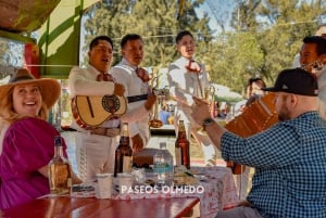 Xochimilco: Fiesta Mexicana con Bebidas Ilimitadas