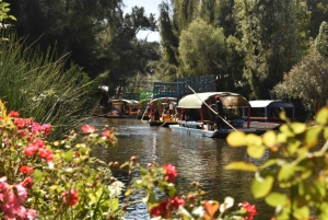 Fiesta Mexicana Xochimilco con bebidas y aperitivos ilimitados.