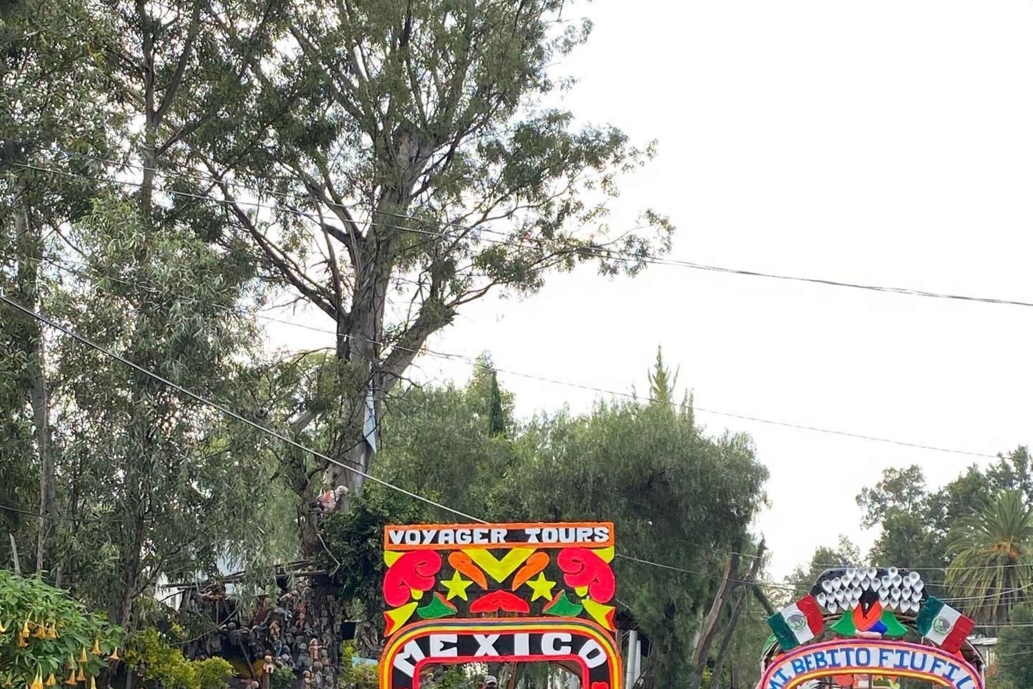 Xochimilco: Food and Trajinera Ride with Local Women