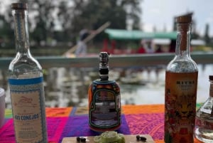 Xochimilco: Isla de las Muñecas Games and Drinks Tour