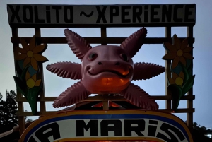 Xochimilco: Isla de las Muñecas Games and Drinks Tour