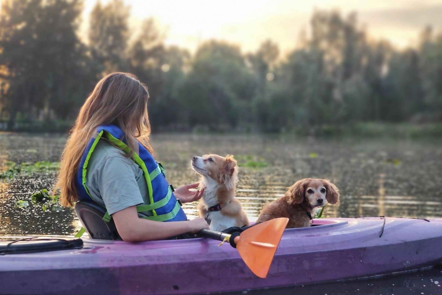 Xochimilco: Kayak a la Mágica Luz de la Mañana