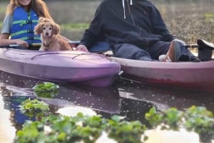 Xochimilco: Kayak at the Magic Morning Light