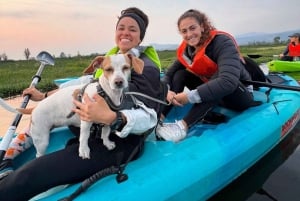 Xochimilco: Kayak ride and salamander watching