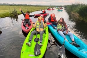 Xochimilco: Kayak ride and salamander watching