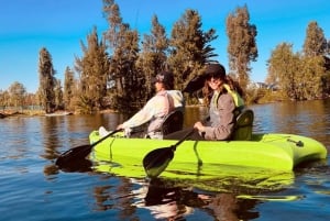 Xochimilco: Kayak ride and salamander watching