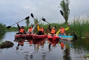 Xochimilco: Paseo en Kayak al amanecer con desayuno