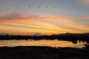 Xochimilco: Paseo en Kayak al amanecer con desayuno