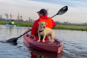 Xochimilco: Paseo en Kayak al amanecer con desayuno