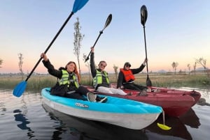 Xochimilco: Paseo en Kayak al amanecer con desayuno