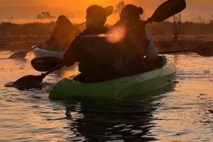 Xochimilco: Kayak Tour and Axolotl Watching