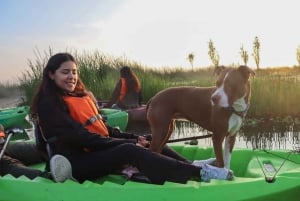 Xochimilco Kayak Tour: Marigold Fields & Day of the Dead Flavors