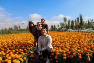 Xochimilco Kayak Tour: Marigold Fields & Day of the Dead Flavors