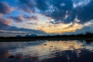 Xochimilco Kayak Tour: Marigold Fields & Day of the Dead Flavors