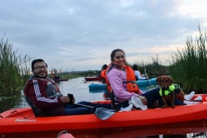 Xochimilco Kayak Tour: Marigold Fields & Day of the Dead Flavors