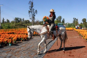 Xochimilco Kayak Tour: Marigold Fields & Day of the Dead Flavors