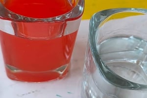 Xochimilco Magic: Tequila, Mezcal & Fun