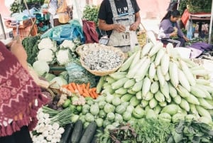 Xochimilco: Market, Food and Nature ¡All included! Tour