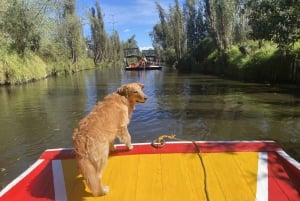 Xochimilco Sereno: Una Tranquila Escapada Cultural de las Multitudes