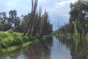 Xochimilco Sereno: Una Tranquila Escapada Cultural de las Multitudes