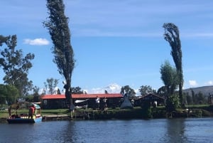 Xochimilco Sereno: Una Tranquila Escapada Cultural de las Multitudes