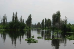 Xochimilco Sereno: Una Tranquila Escapada Cultural de las Multitudes
