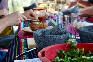 Xochimilco: Mexican Culture and Cuisine Tour