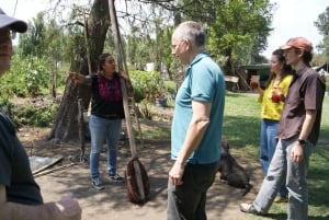 Xochimilco: Mexican Culture and Cuisine Tour