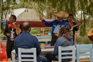 Xochimilco: Fiesta Mexicana con Bebidas Ilimitadas