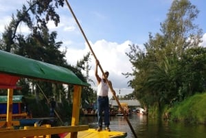 Xochimilco: Party on a Trajinera with Mexican Snacks, Drinks, and Music