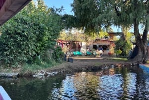 Xochimilco's Wild Side: Mezcal, Insects & Culture