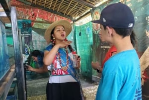 Xochimilco: Market, Food and Nature ¡All included! Tour