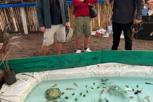 Xochimilco: Sanctuary of the Axolotl