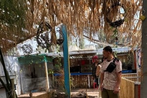 Xochimilco: Sanctuary of the Axolotl