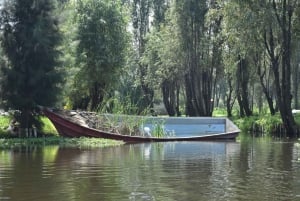 Xochimilco Sereno: Una Tranquila Escapada Cultural de las Multitudes