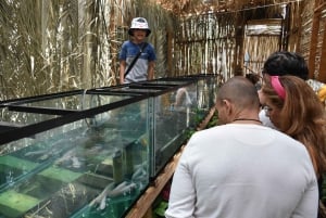 Xochimilco Sereno: Una Tranquila Escapada Cultural de las Multitudes