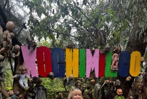 Xochimilco: La isla de las muñecas, juegos y bebidas