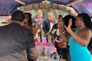 Xochimilco: tour en bote tradicional, cultura y diversión.