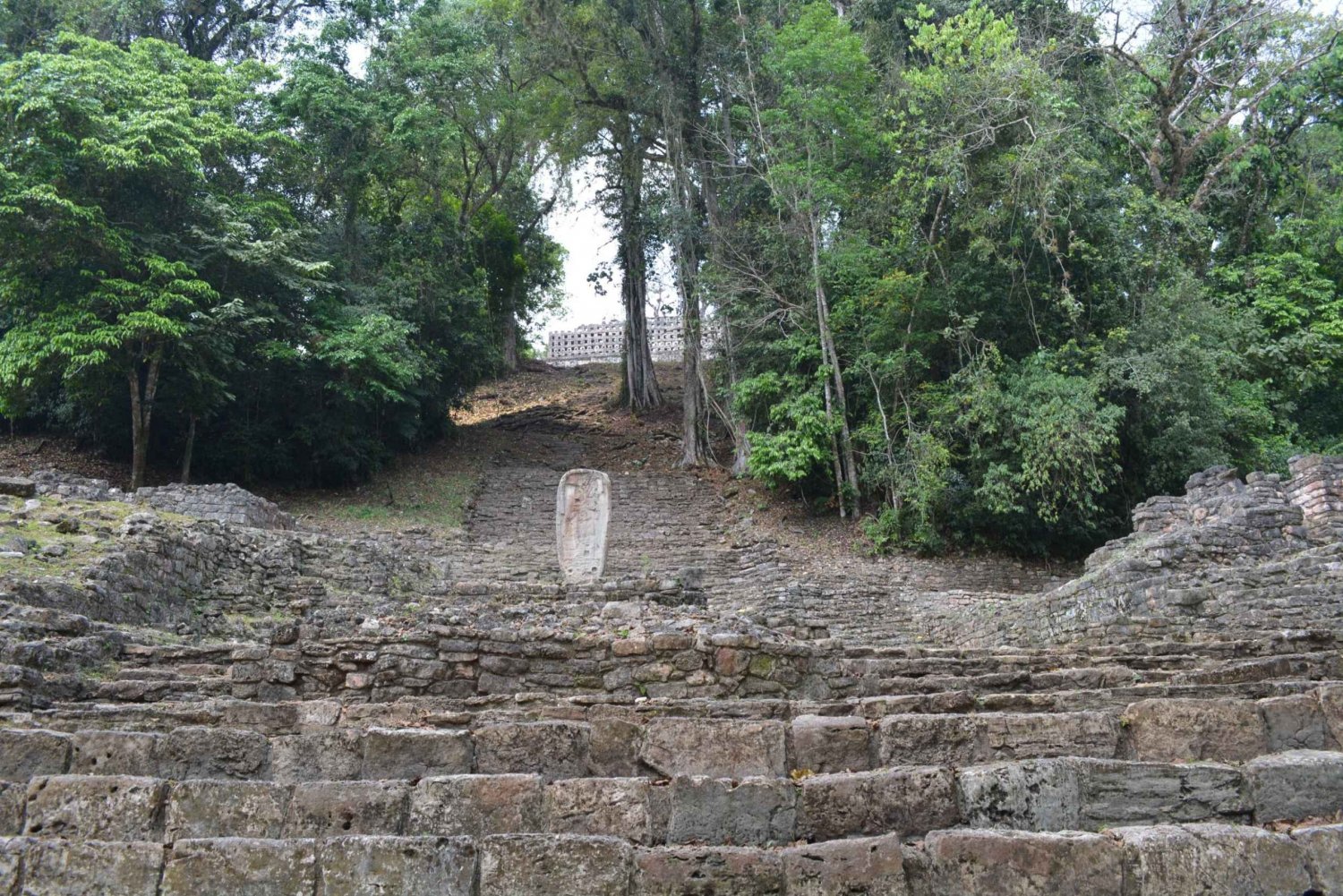 Yaxchilán, Bonampak y Selva Lacandona desde Palenque