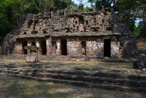 Yaxchilan & Bonampak Ruins and Lacandon Jungle from Palenque
