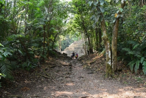 Yaxchilan & Bonampak Ruins and Lacandon Jungle from Palenque