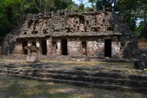 Yaxchilán, Bonampak y Selva Lacandona desde Palenque