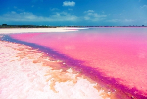 Yucatán: Las Coloradas Pink Lake & Río Lagartos Tour with Lunch