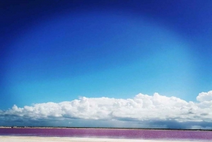 Yucatán: Las Coloradas Pink Lake & Río Lagartos Tour with Lunch