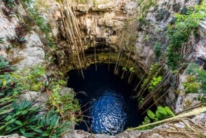 Desde Cancún: Tour en autobús por Chichén Itzá, Valladolid y los Cenotes