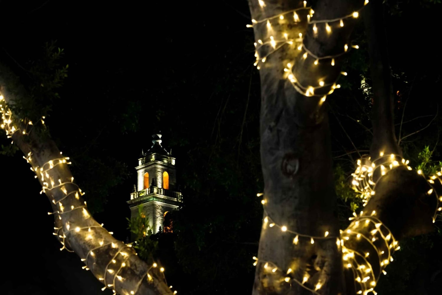 Yuletide in Mérida: A Private Tour Through Holiday Splendor