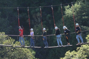 Zacatecas: Thrilling Adventure at Los Cardos Adventure Park