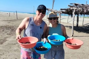 Zihuatanejo, Guerrero: Turtle Release Experience