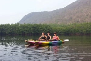 Zihuatanejo: Excursión en Kayak